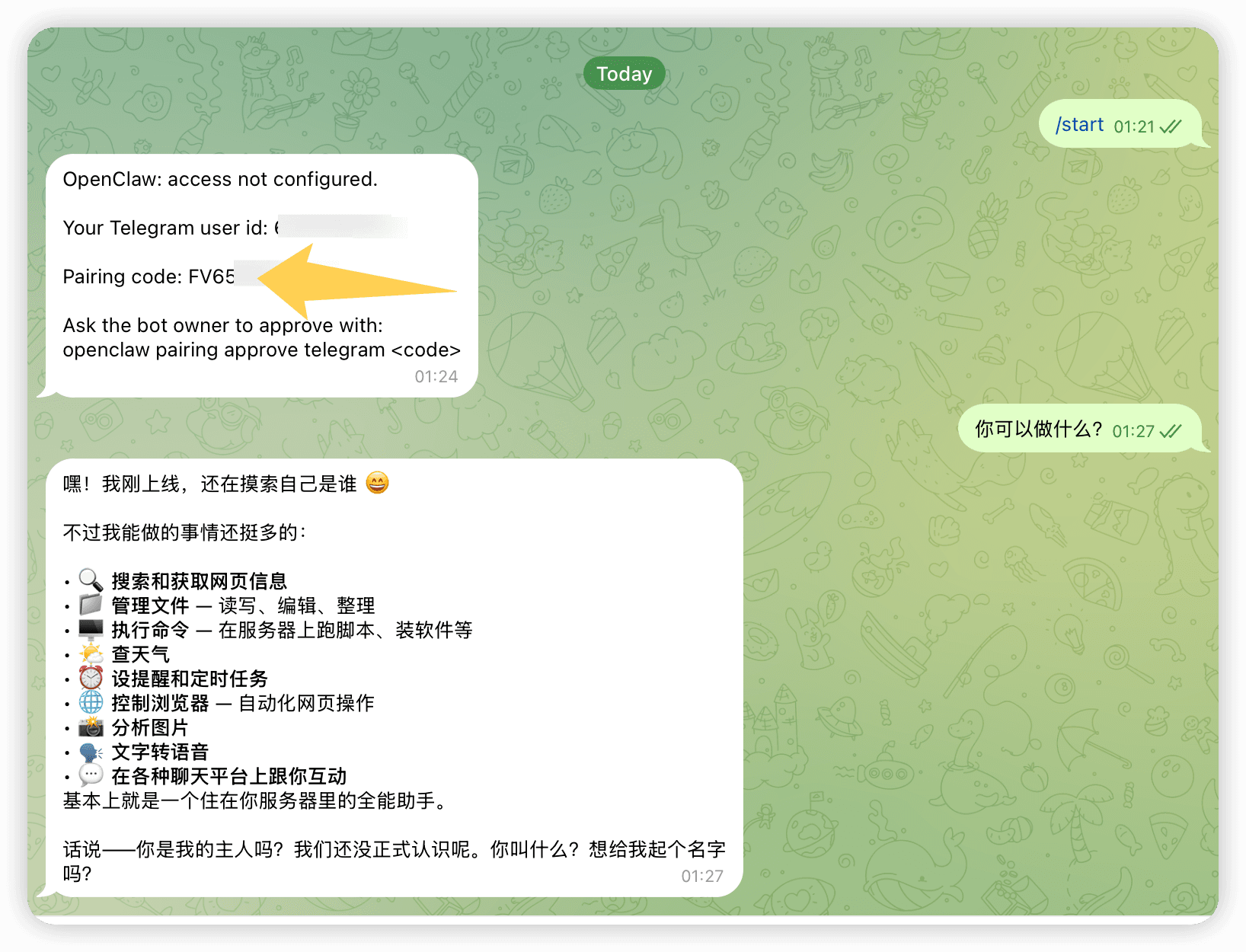 浏览器访问